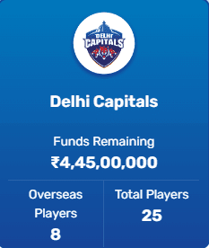 IPL 2023 Auction Delhi Capitals